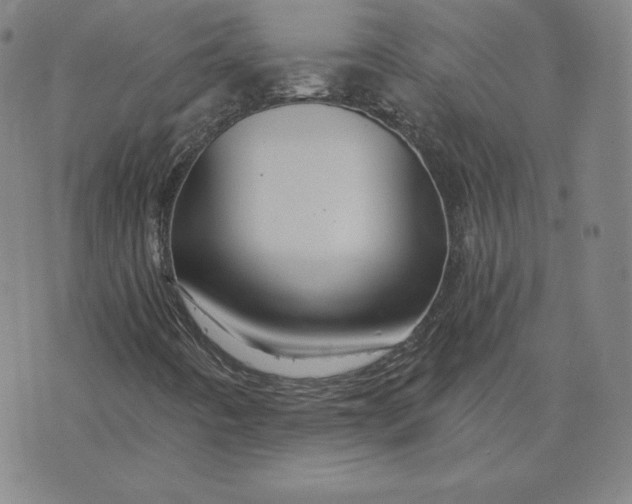 X0000076311442200610161607