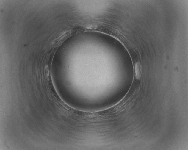 X0000076311443200610161607