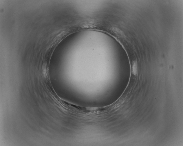 X0000076311444200610161607