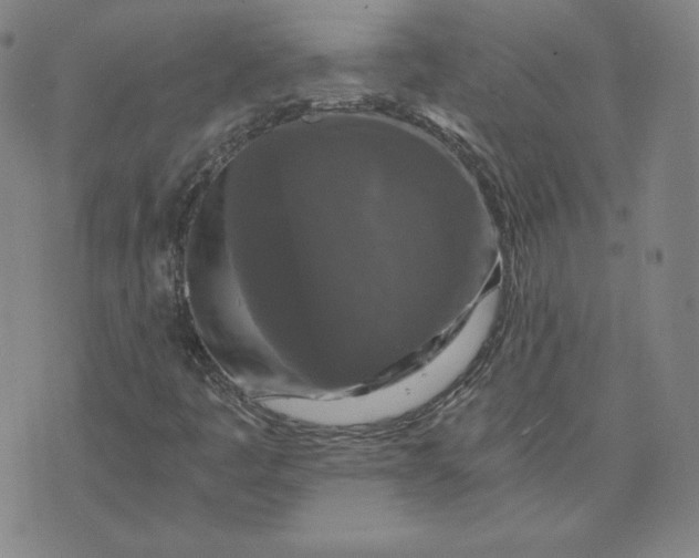 X0000076311445200610161607