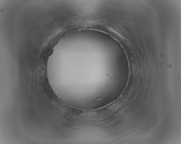 X0000076311447200610161607