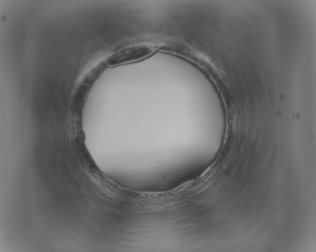 X0000076311448200610161607