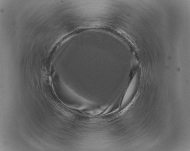 X0000076311449200610161607