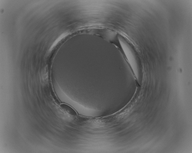 X0000076311450200610161607