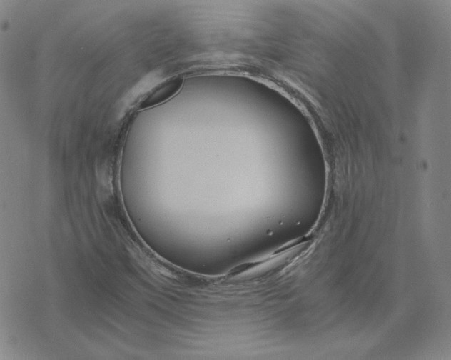 X0000076311451200610161607