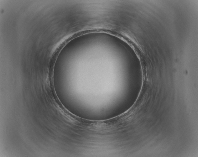 X0000076311452200610161607