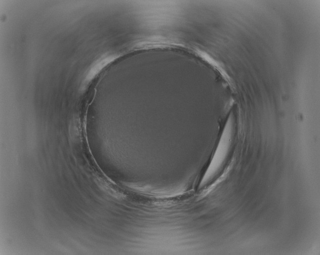 X0000076311453200610161606