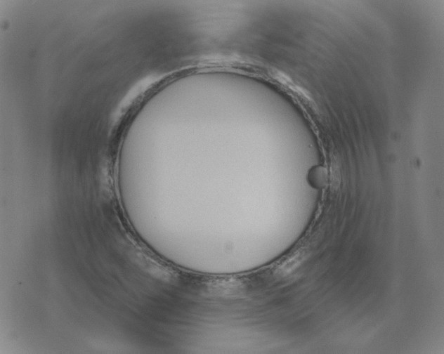 X0000076311454200610161606