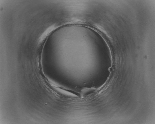 X0000076311455200610161606