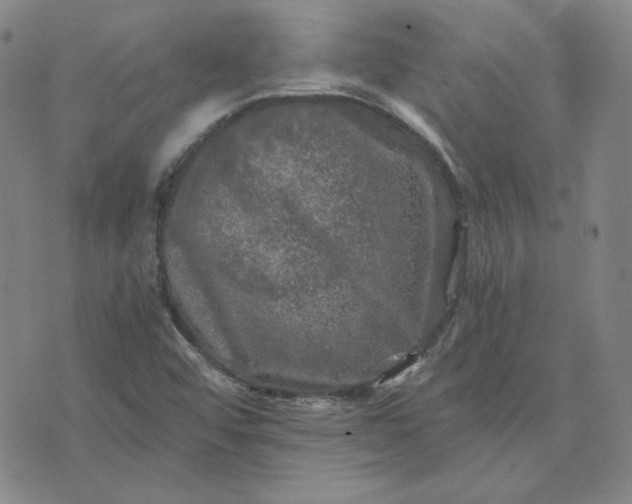 X0000076311456200610161606