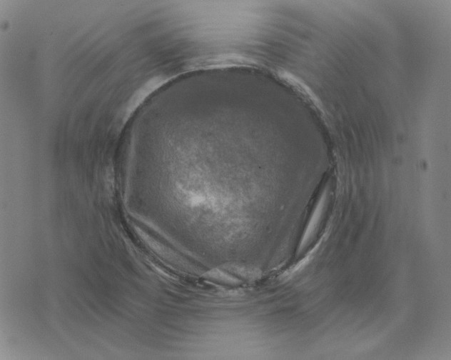 X0000076311457200610161606