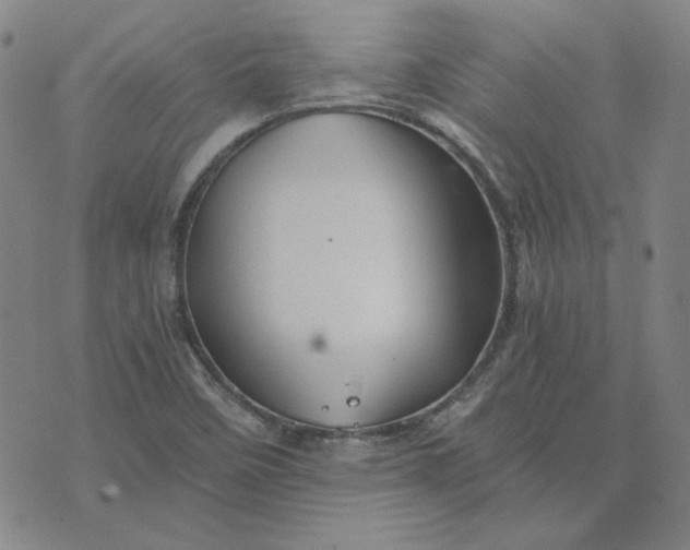 X0000076311458200610161606