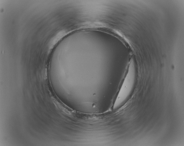 X0000076311459200610161606