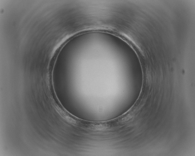 X0000076311460200610161606