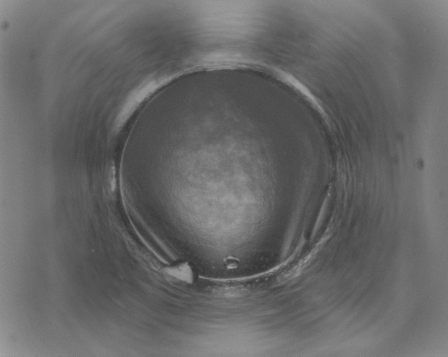 X0000076311461200610161606