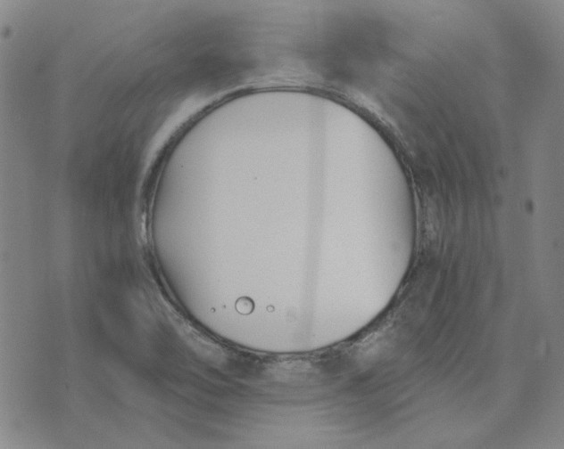 X0000076311462200610161606