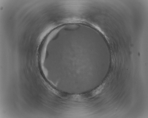 X0000076311463200610161606