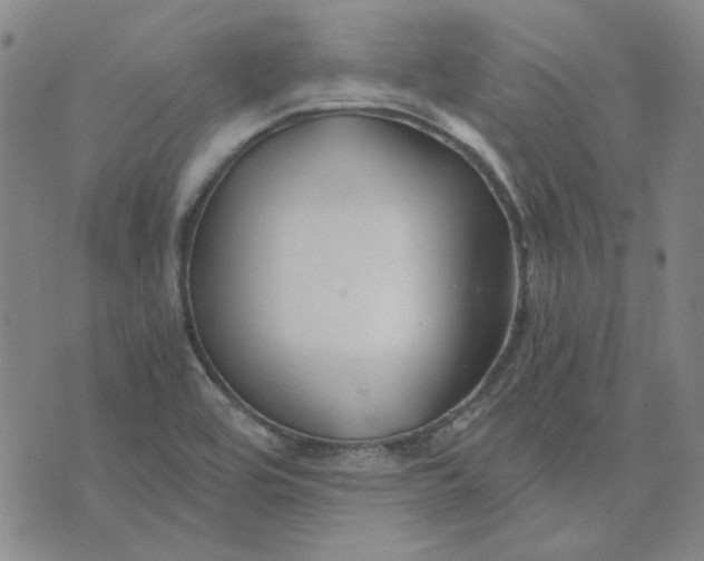 X0000076311464200610161606