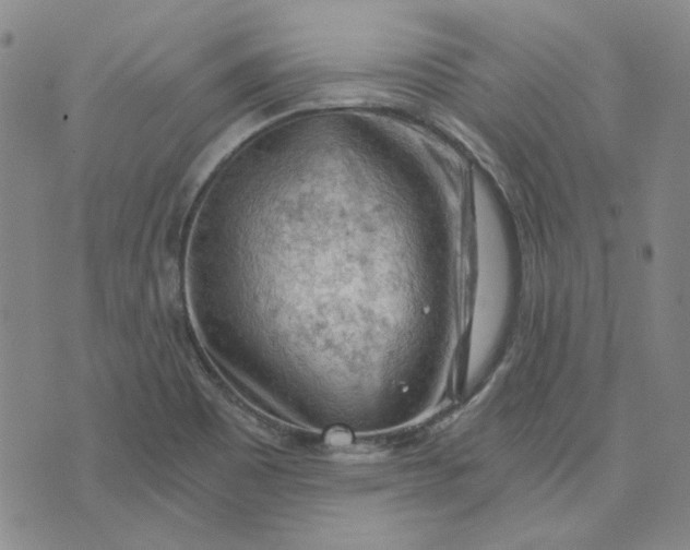 X0000076311465200610161606