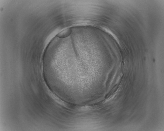 X0000076311467200610161606