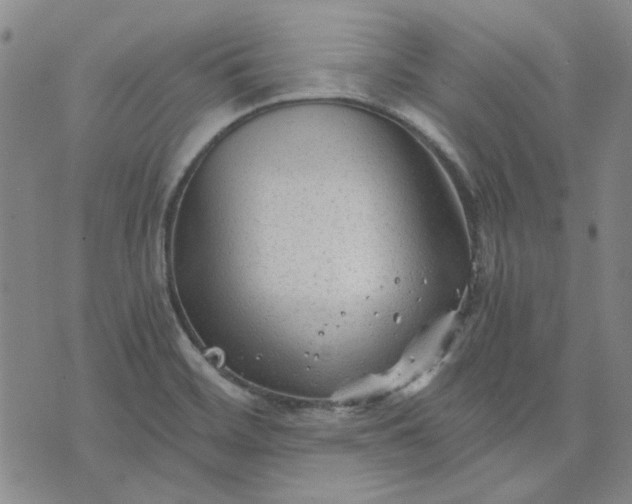 X0000076311468200610161606