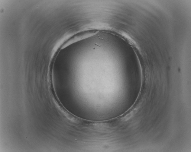 X0000076311469200610161606