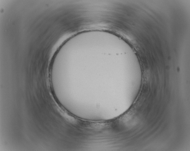 X0000076311470200610161606