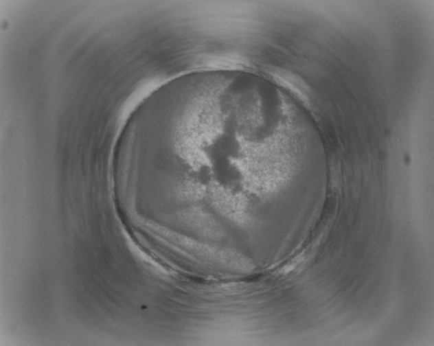 X0000076311471200610161606