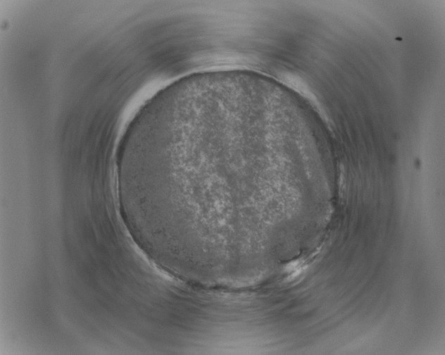 X0000076311472200610161606