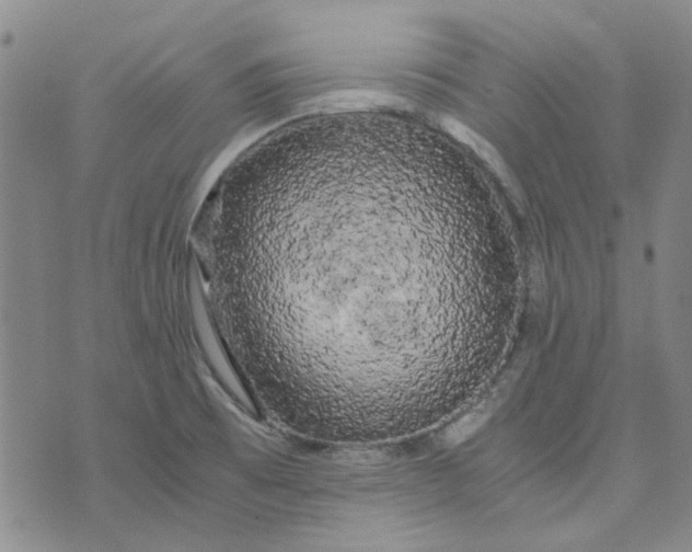 X0000076311473200610161606