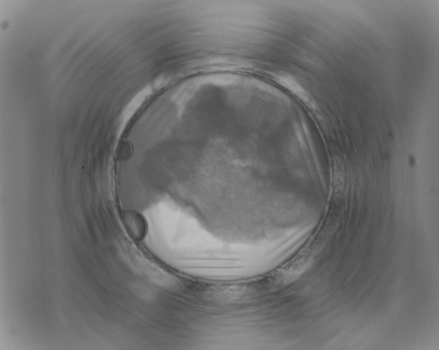 X0000076311474200610161606