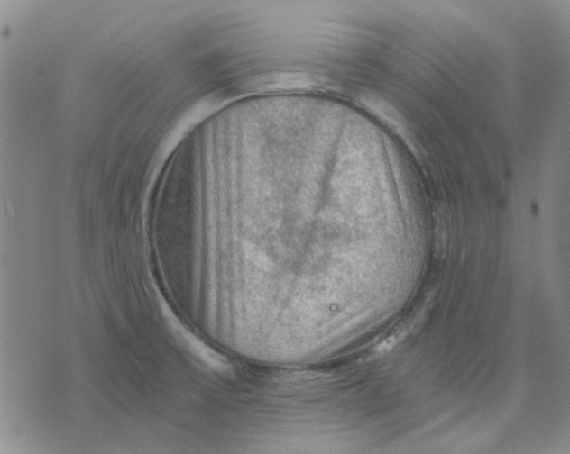 X0000076311475200610161606