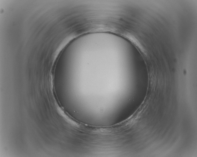 X0000076311476200610161606