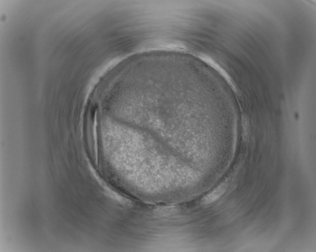 X0000076311477200610161606