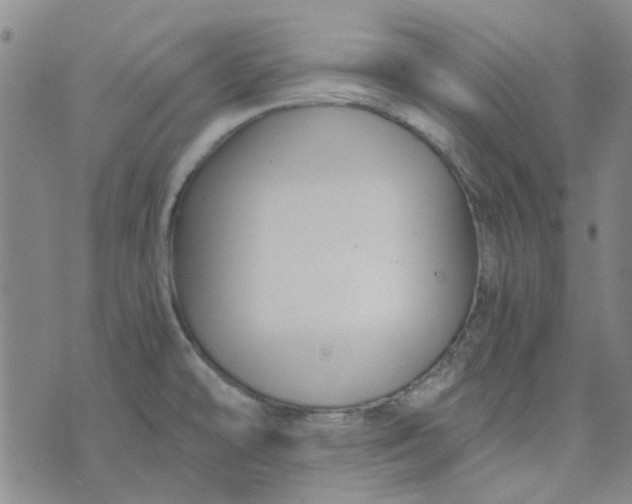 X0000076311478200610161606