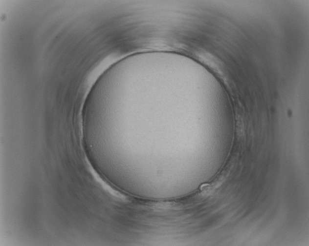 X0000076311479200610161606