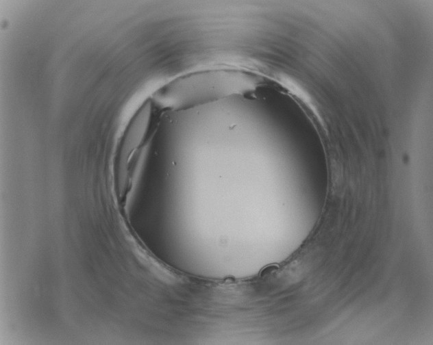 X0000076311480200610161606