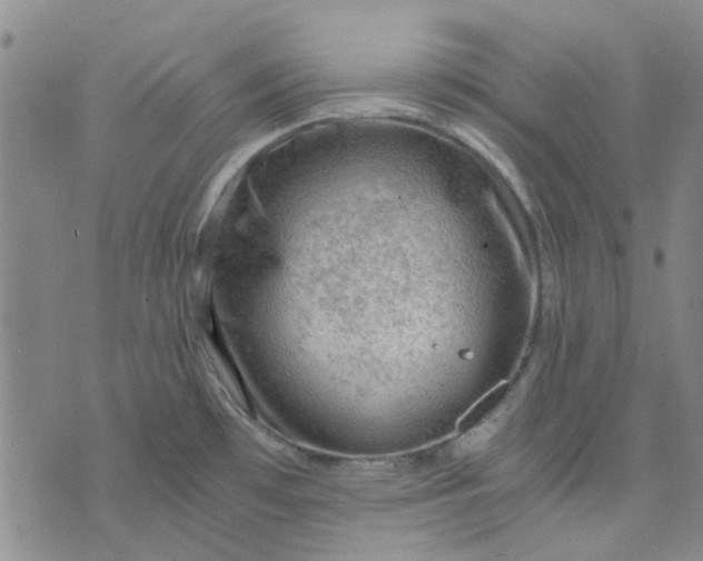 X0000076311481200610161606