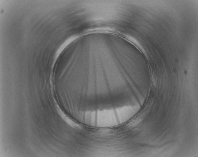 X0000076311482200610161606