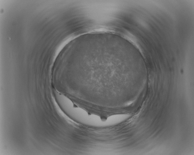 X0000076311483200610161606