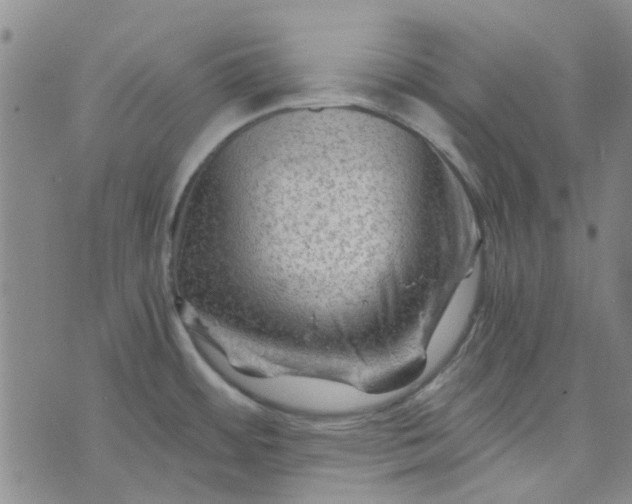 X0000076311484200610161606