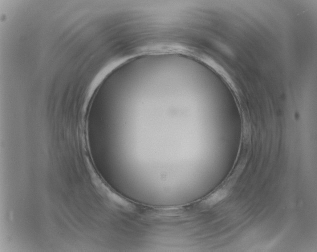 X0000076311486200610161606