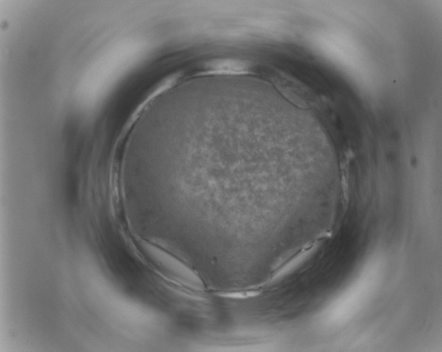 X0000076311487200610161606