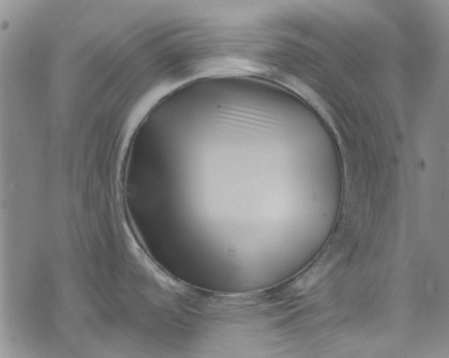 X0000076311488200610161606