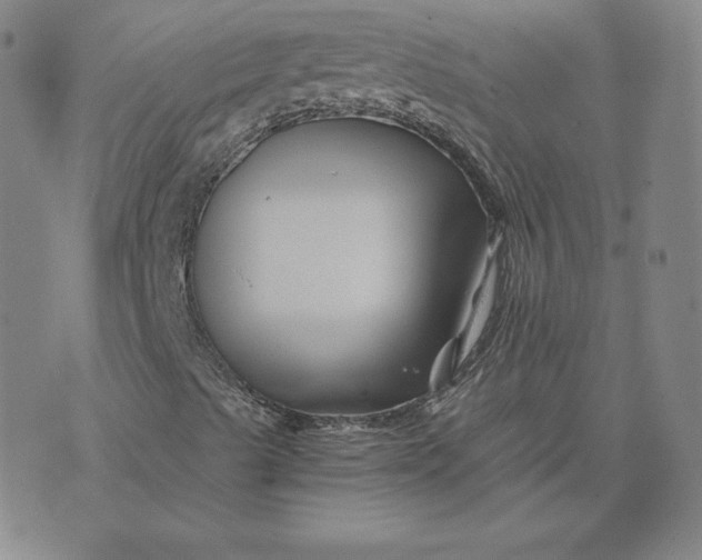 X0000076311489200610161605