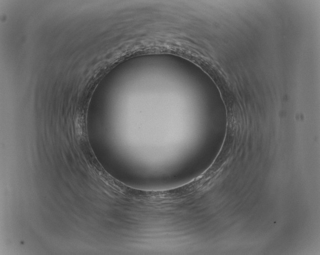 X0000076311490200610161605