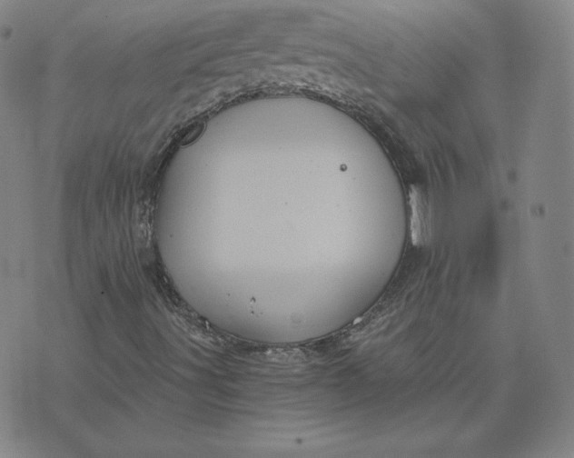 X0000076311491200610161605