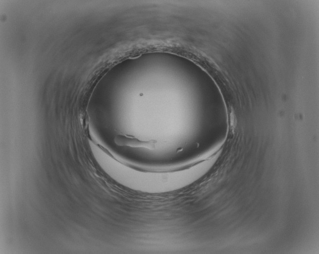 X0000076311492200610161605