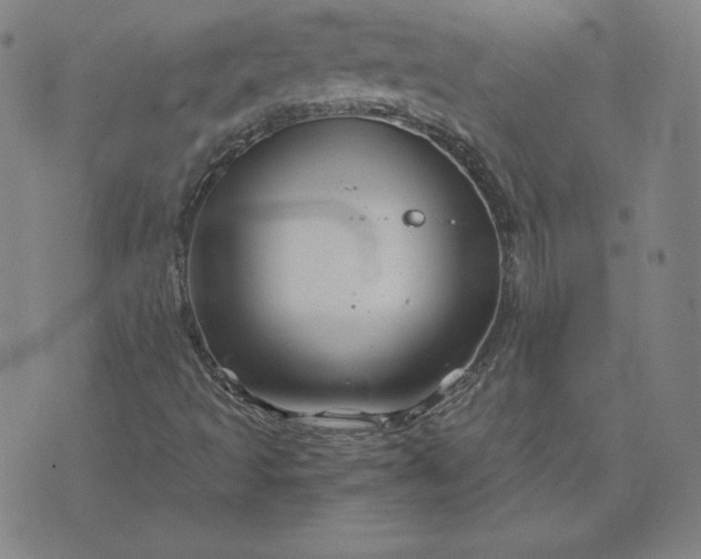 X0000076311493200610161605