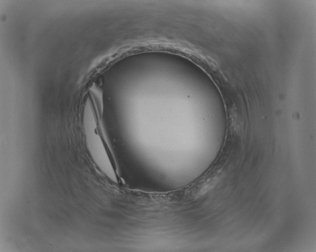 X0000076311494200610161605